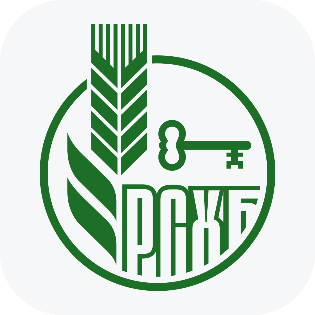 Яндекс картинки 