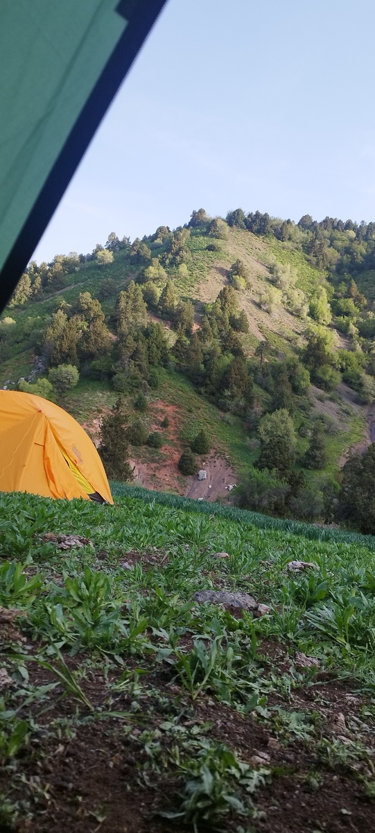 Взгляд из палатки на прекрасный дивный мир... 
