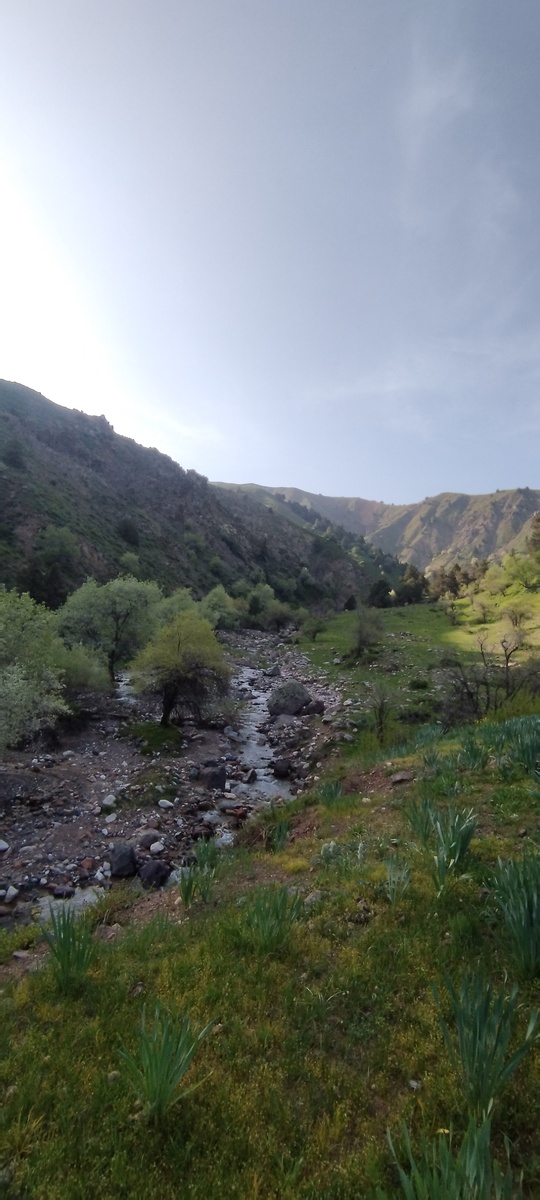 Та самая река