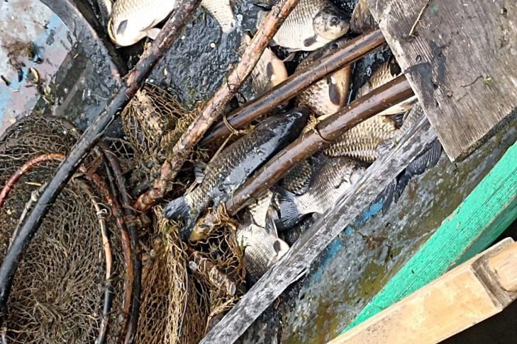    Фото из архива VN.ru