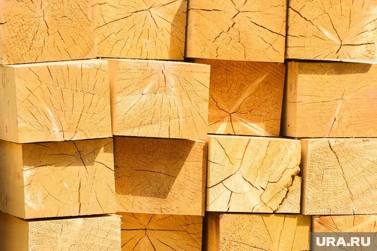 Собственник предлагает разобрать здание на брус. Фото: Вадим Ахметов © URA.RU