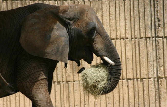    Фото: ru.freepik.com Анфиса Слепцова