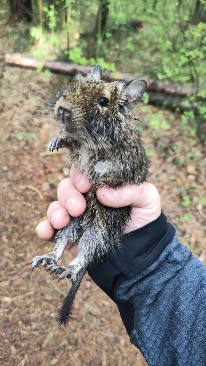     Источник: Сообщество Академгородка | Новосибирск