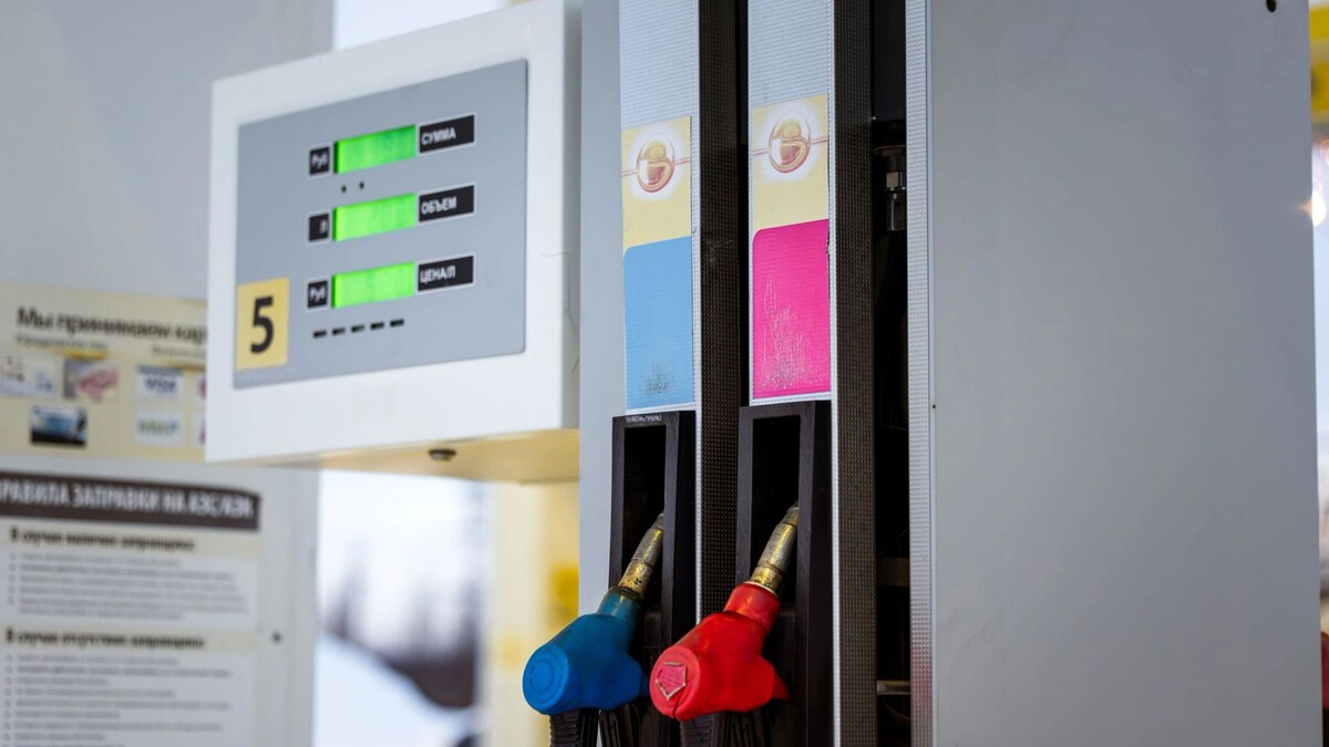    Фото: Юлия Чудинова/«Ямал-Медиа»