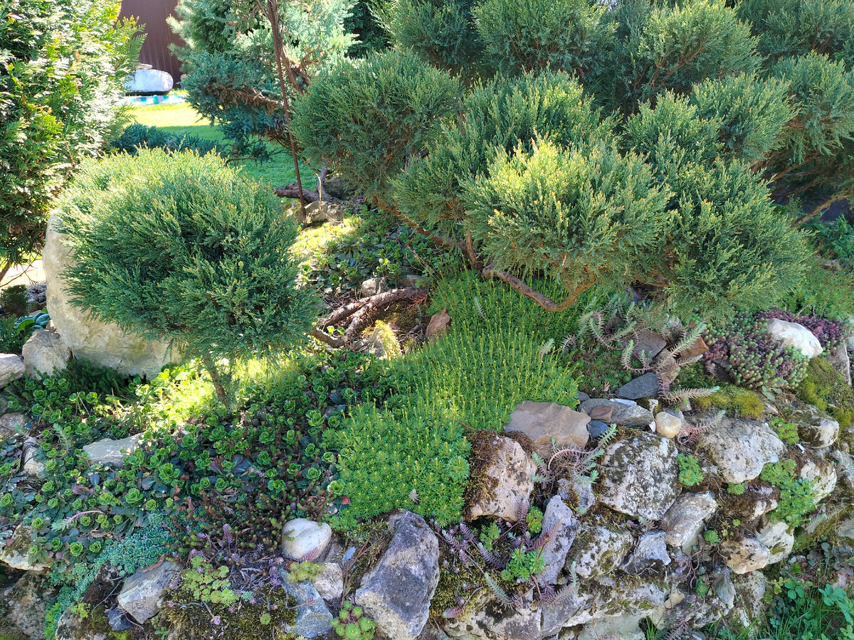 Фото автора @ Маша Генералова.