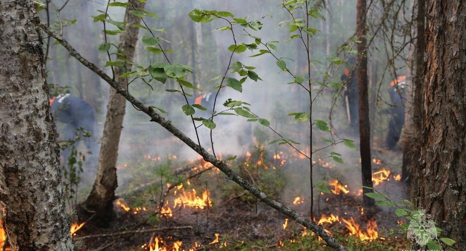    Пресс-служба МЧС