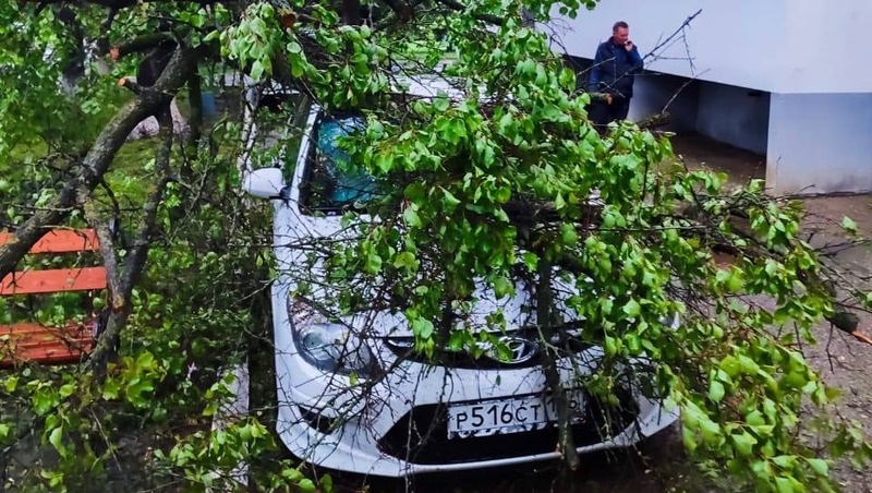      Фото: администрация Изобильненского округа