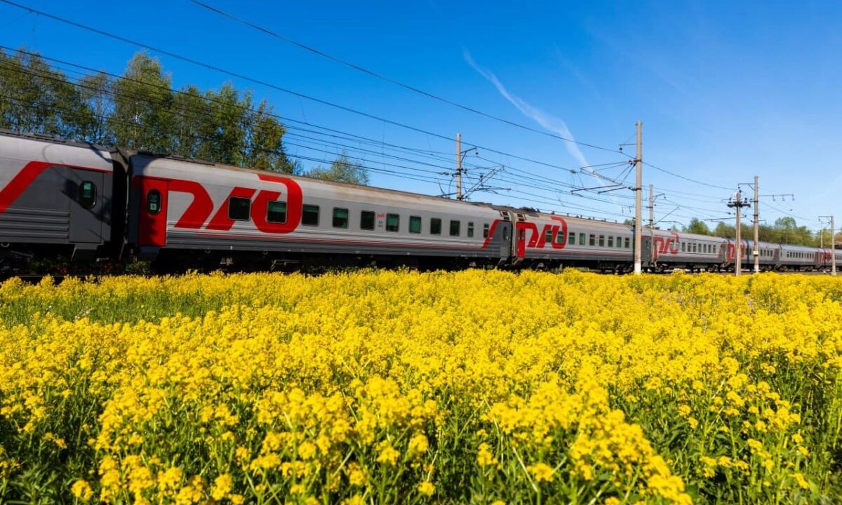    Фото пресс-службы СКЖД