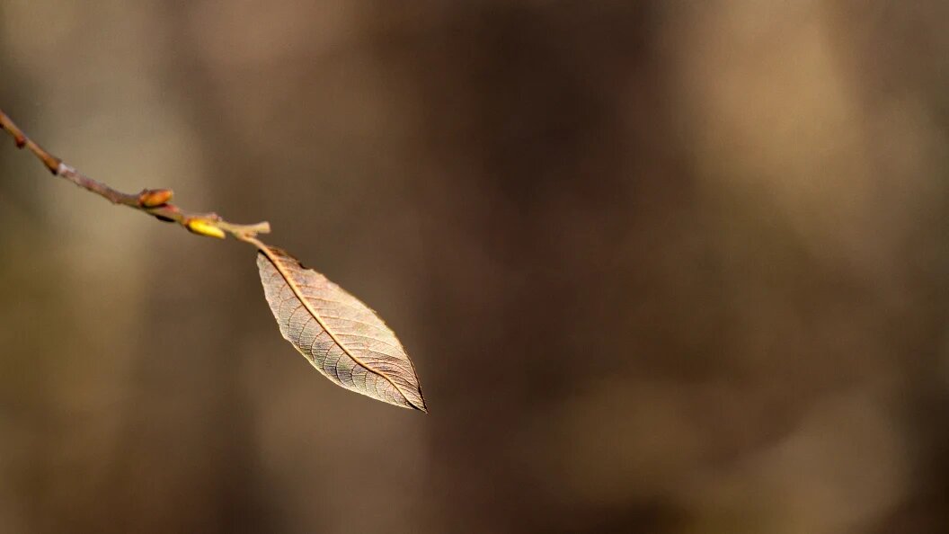    Фото: Rafael Bastante /Globallookpress