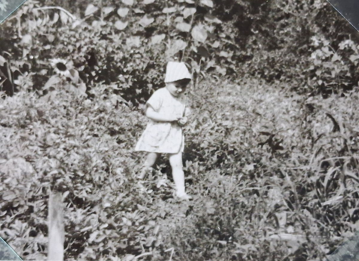 В дедушкином саду. Фото автора.  