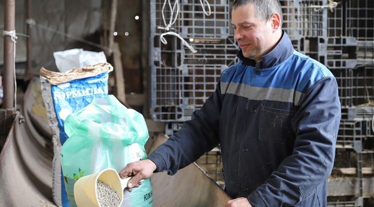 Сейчас телятам дают стартерный комбикорм, содержащий все необходимые компоненты для здорового питания и роста Фото: Валерия Шатько