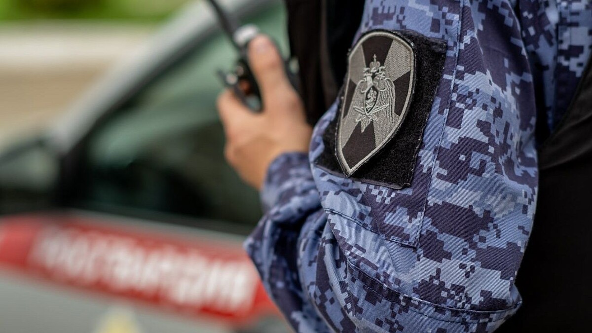    Фото: t.me/rosgvard_krasnodar