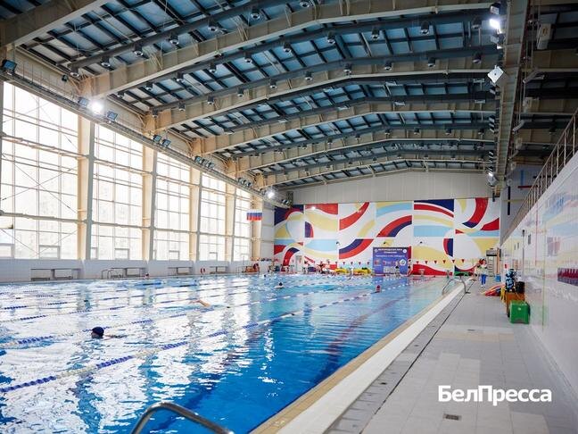 Фото: Елена Журавлёва