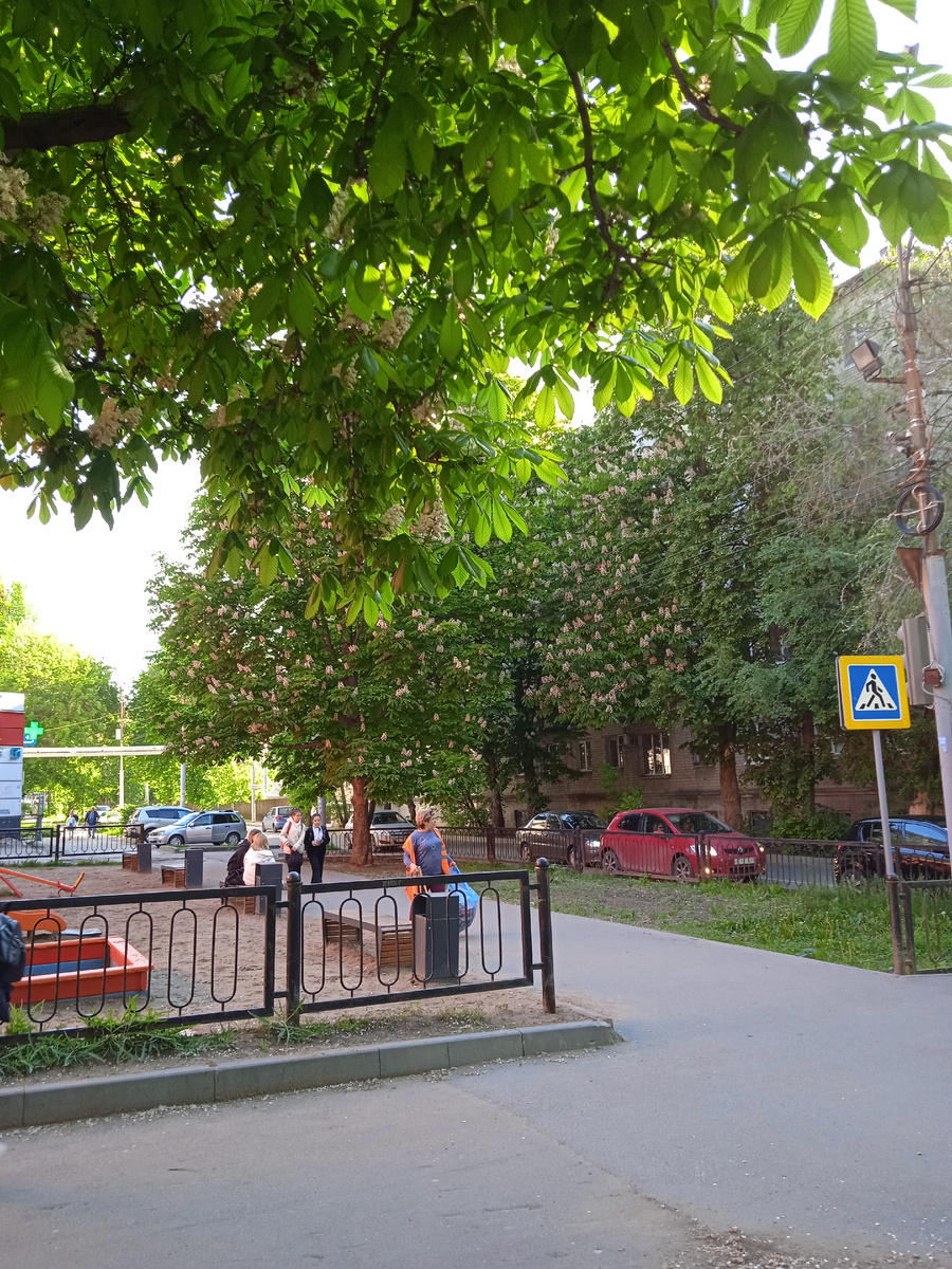 Фото автора канала. Утро. 