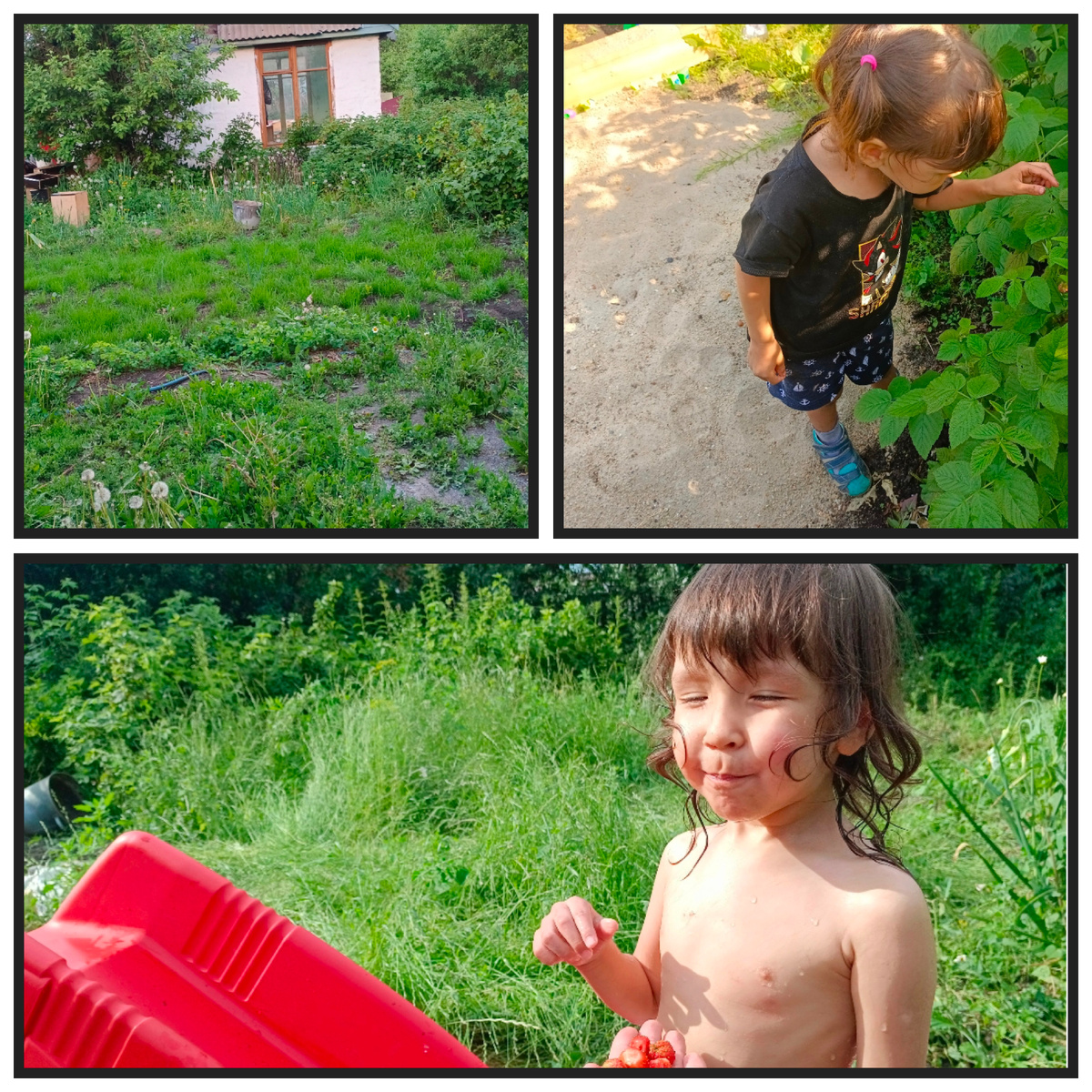 Коллаж автора, фото личный семейный архив