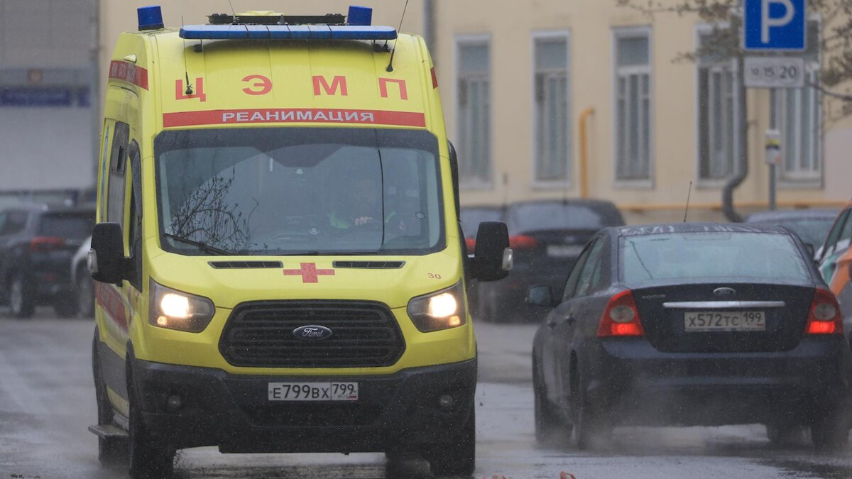    Фото: Shatokhina Natalia/news.ru