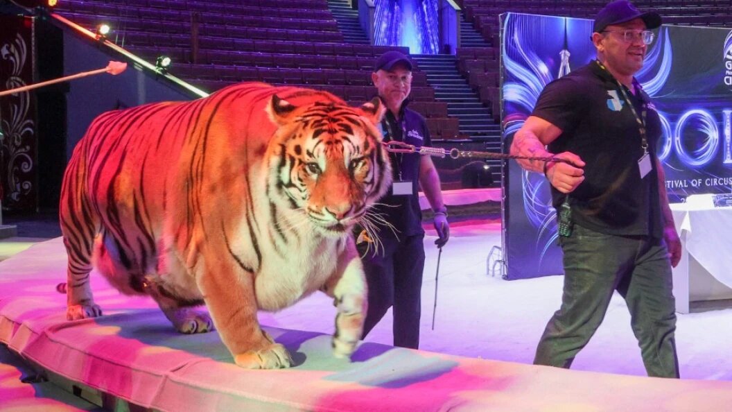    Belkin Alexey/news.ru/Globallookpress