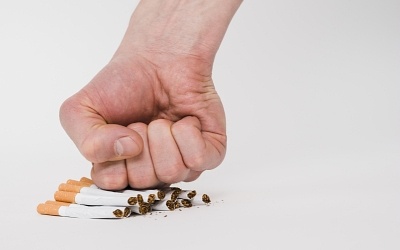 Из открытых источников интернета 