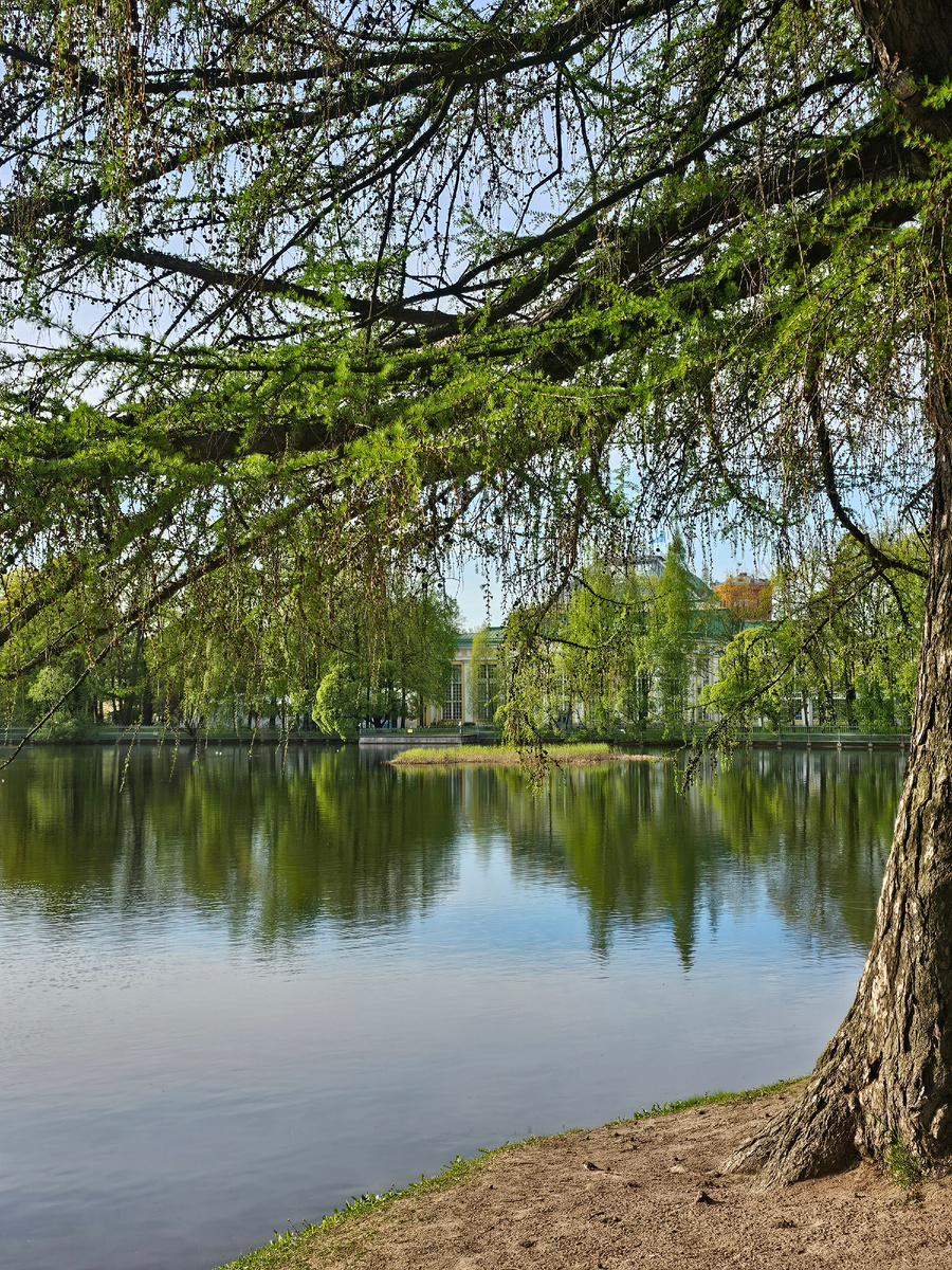 Таврический парк (автор фото Л.Баева)