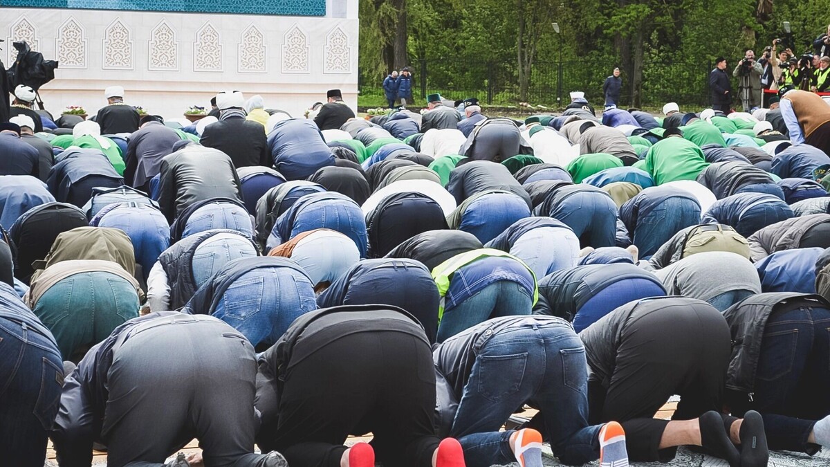     Источник: 1MI