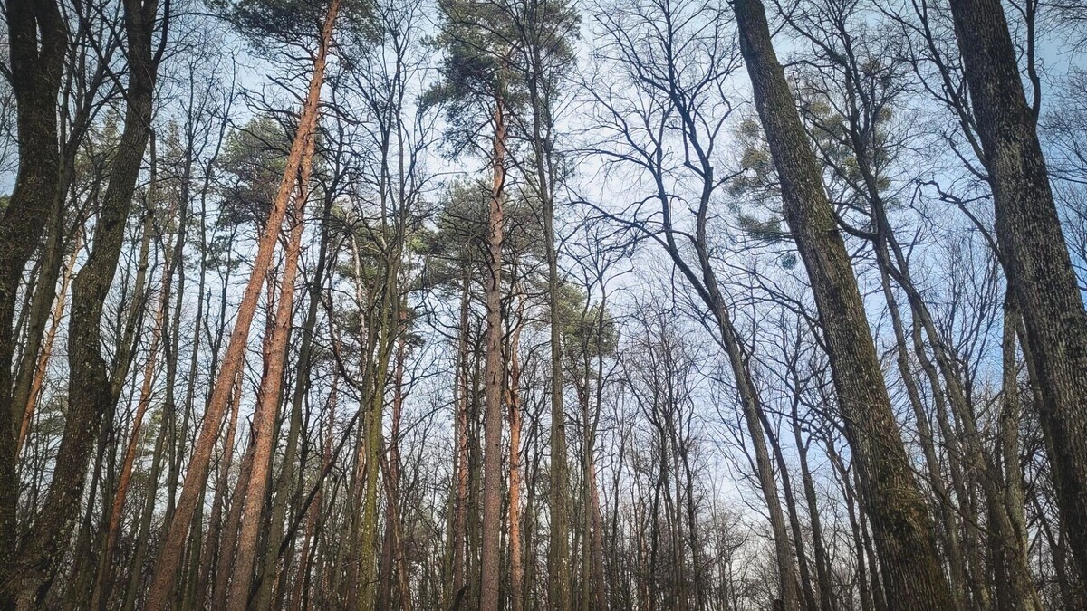     Источник: bel.ru