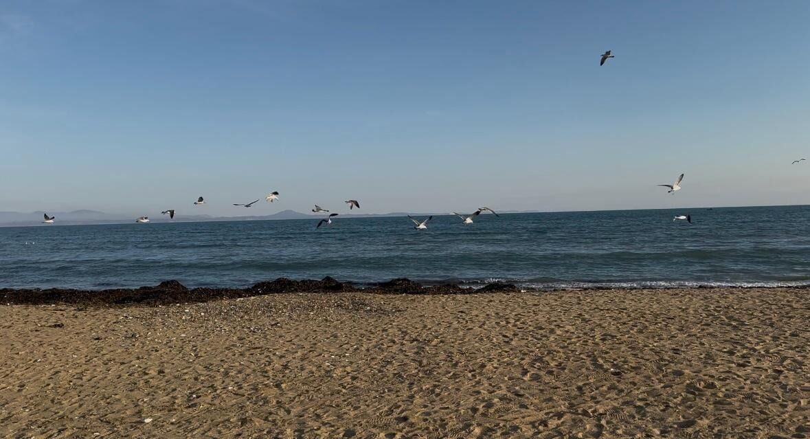     Автор: Александра Мамедова Источник: vostokmedia.com