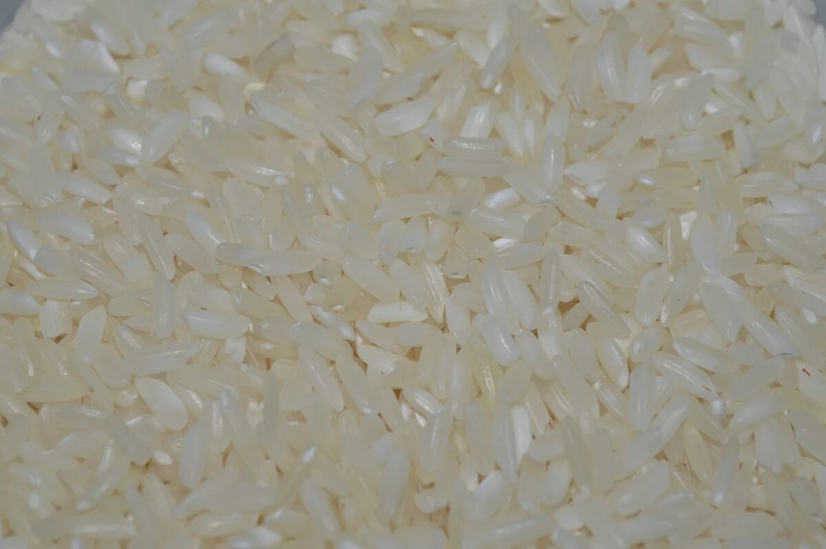    Адыгея предлагает ряд прорывных проектов в рисоводческой отрасли