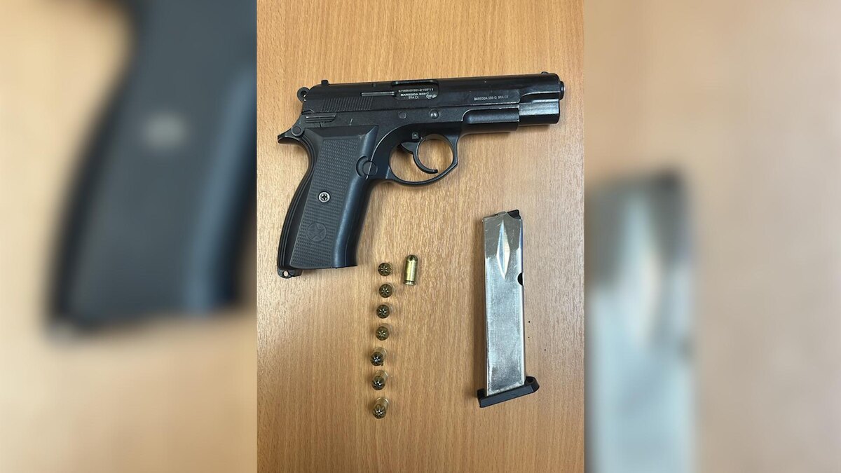    Фото: пресс-служба ГУ МВД России по Петербургу и Ленобласти