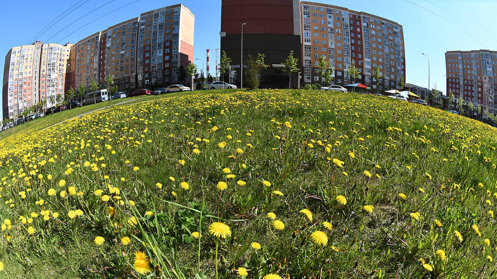 Фото: Анатолий Жданов / Коммерсантъ