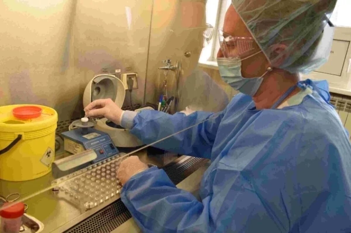    Опасный хром во вьетнамских ананасах обнаружил Россельхознадзор Приморья