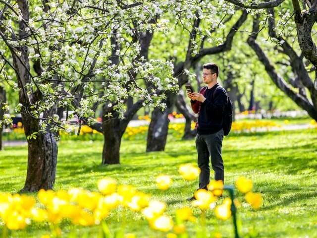    Фото: Москва 24/Лидия Широнина
