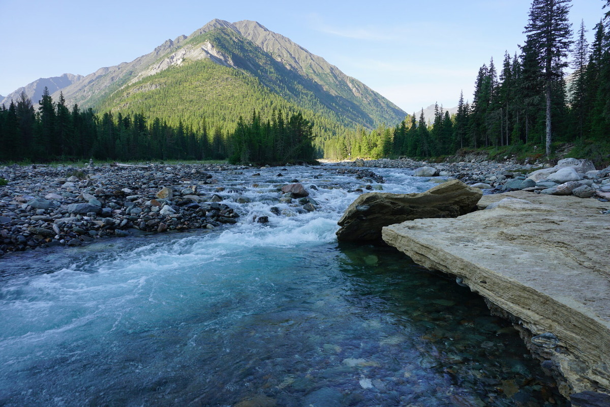 Изображение взято с сайта https://static.tildacdn.com/tild3033-6364-4838-b734-343164373236/DSC01451.JPG