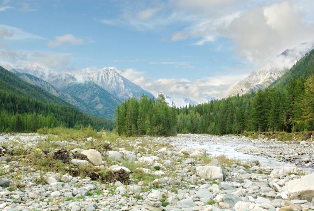 Изображение взято с сайта https://fb.ru/misc/i/gallery/31656/2681682.jpg