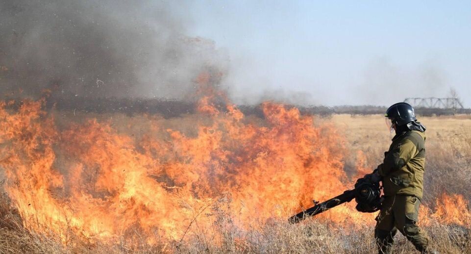    правительство Амурской области / Telegram