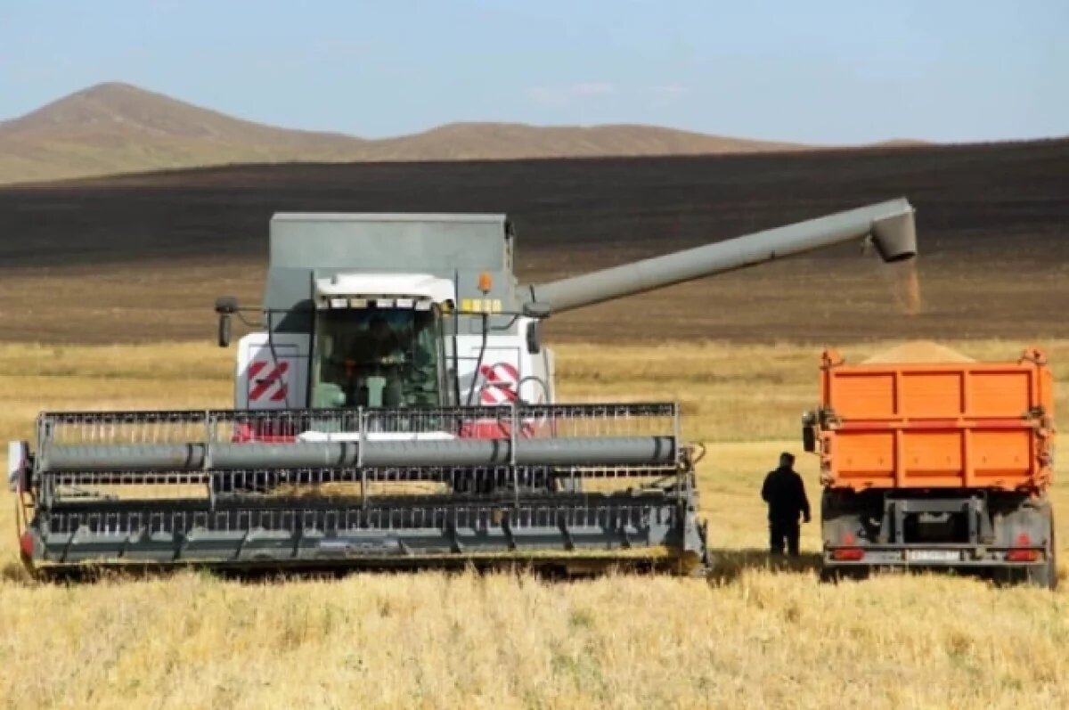    Посевные работы площадью 22 тыс га сделали аграрии Забайкалья