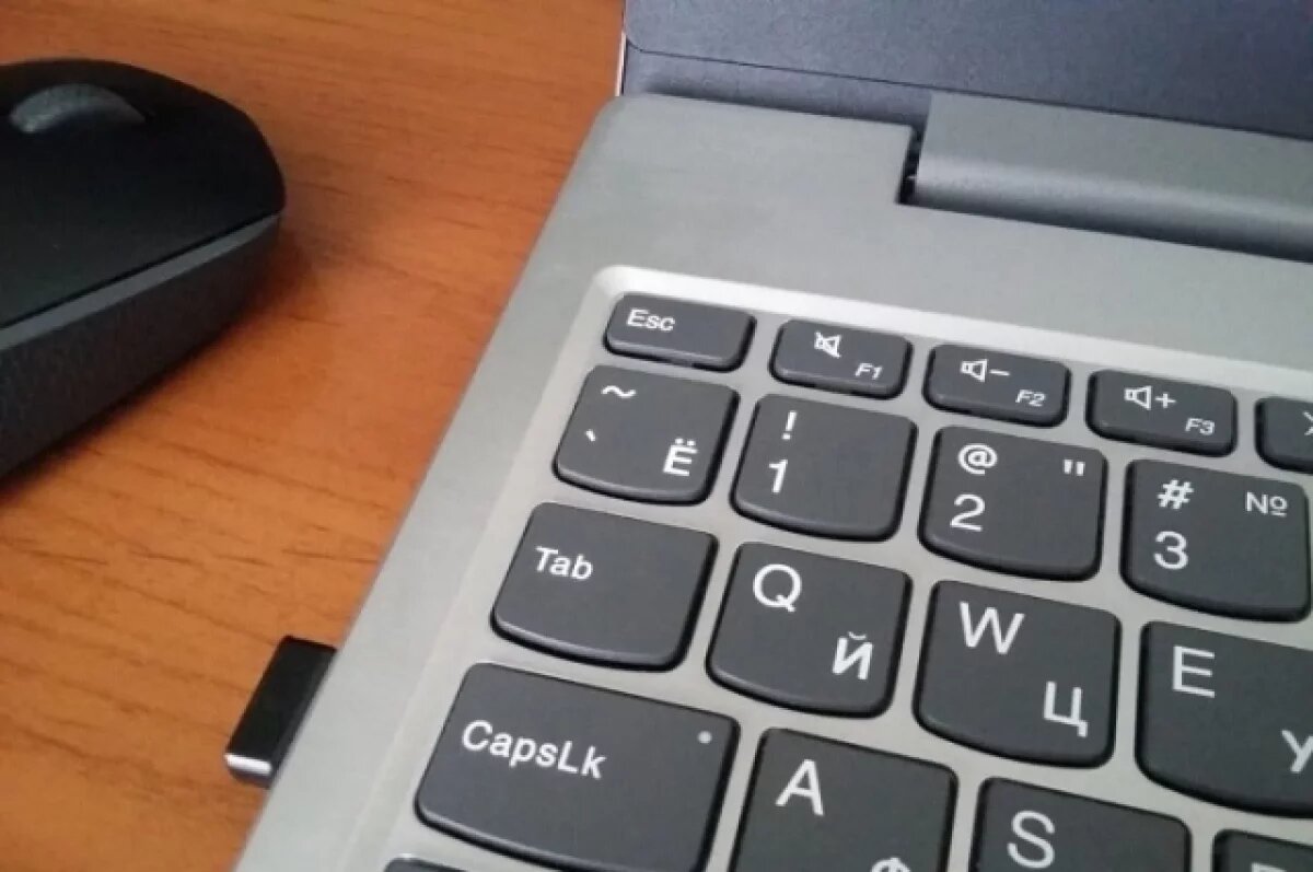    Депутат Останина выступила против игры GTA VI