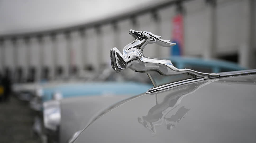 Фото: Глеб Щелкунов / Коммерсантъ