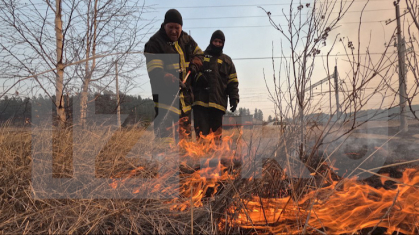    Фото: ИЗВЕСТИЯ/Денис Алферов