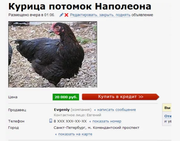 Источник Яндекс.фото