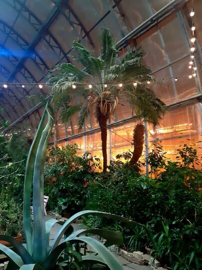    Ольга Григорьева