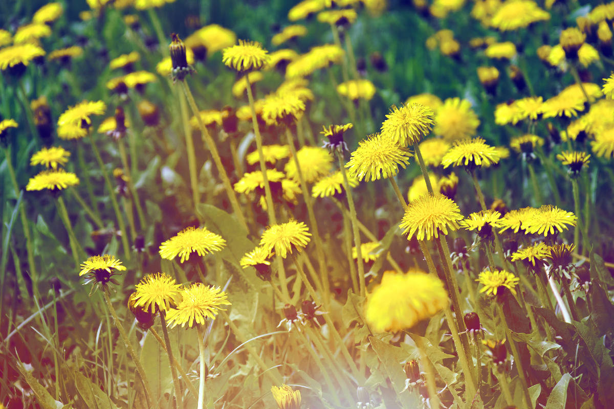 Копирование фотографий запрещено. Контент является интеллектуальной собственностью. Защищён авторским правом.