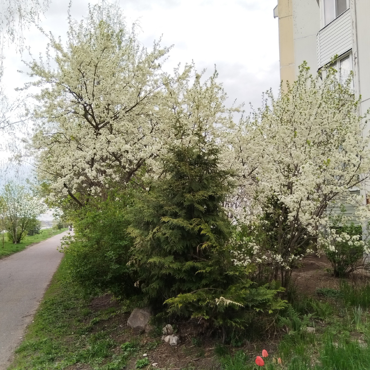 Недалеко от нашего дома