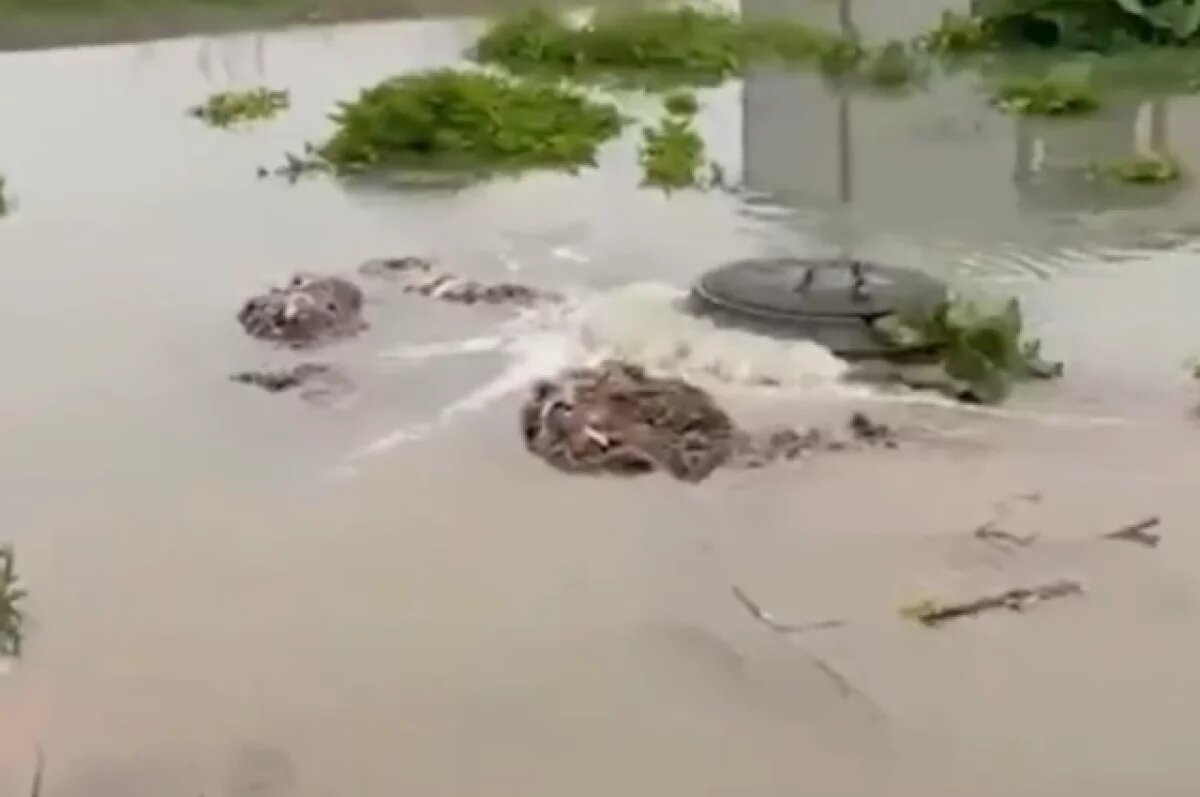    Прокуратура начала проверку из-за прорыва коллектора на берегу Шершней