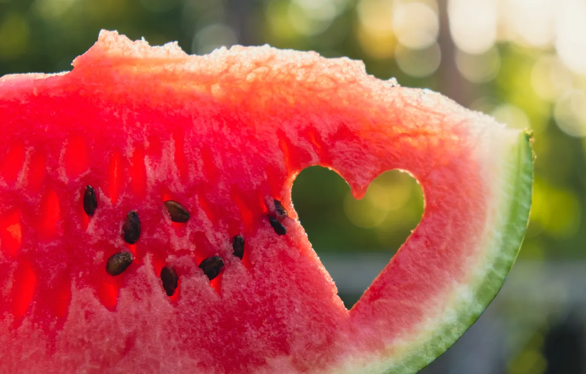 Фото: Jgcv46 / GoodFon.ru