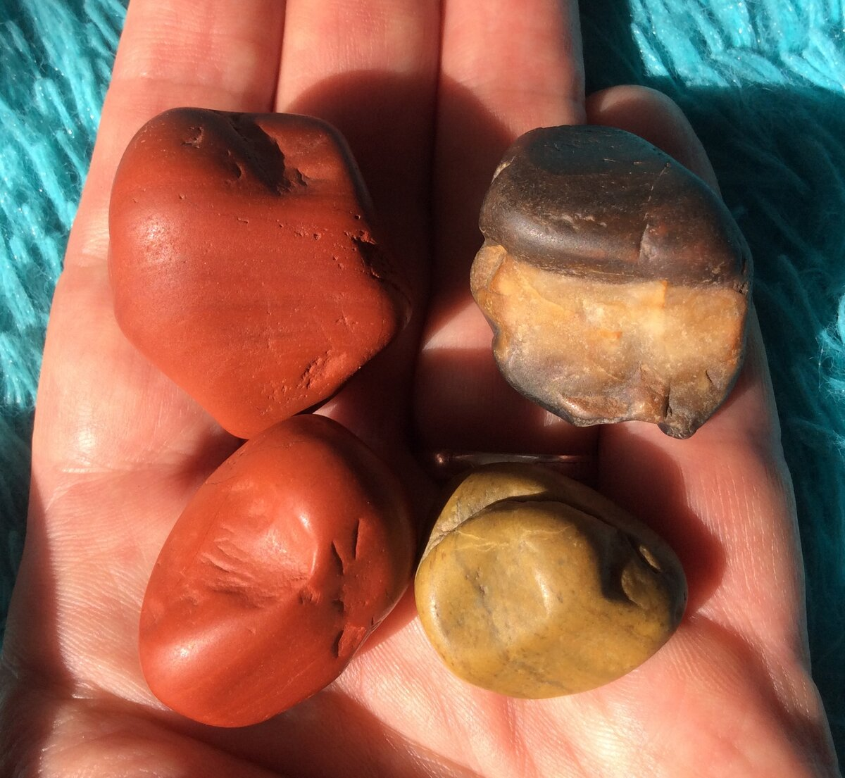 Четыре красавца, найденные мною в Индии. Фото автора.