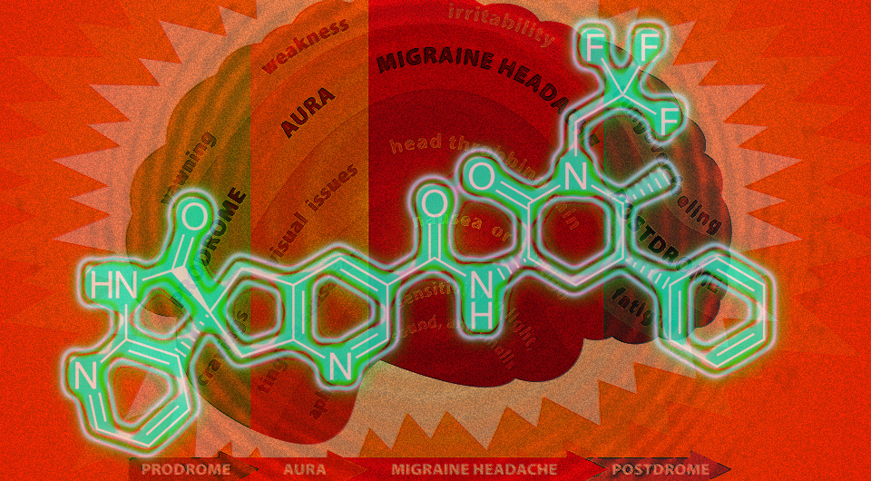   N + 1; JoanDragonfly / Flickr / CC BY-SA 2.0; Vaccinationist / Wikimedia Commons / Public Domain