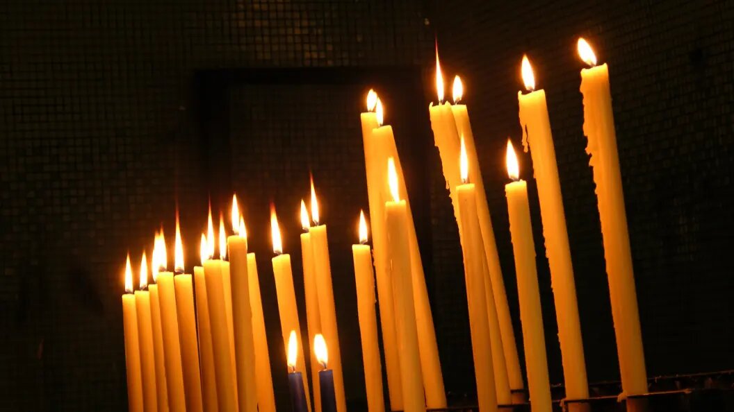    Фото: Christian Reister/imageBROKER.com/Globallookpress