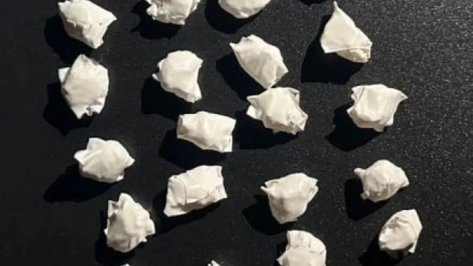 Фото: пресс-служба МВД по Северной Осетии