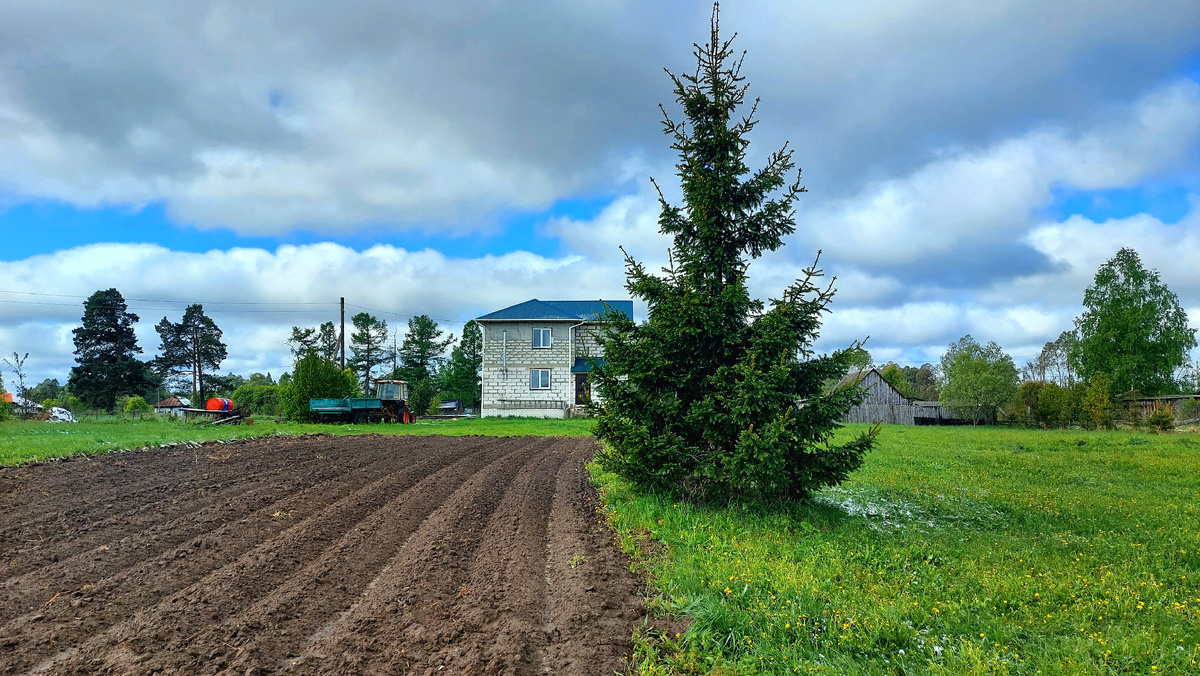 Дом построеный и дом живой. Моё поместье. До буйно-цветущего сада ещё далеко и много работы, но главное уже есть