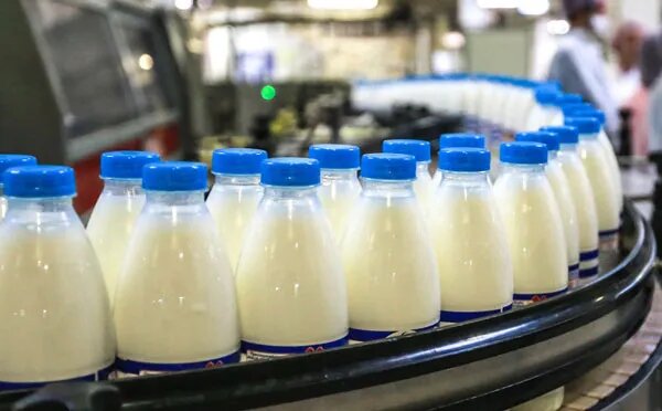 Новый молочный завод в Калуге